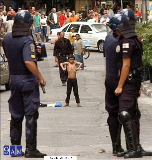 :P..ding - sa nu o iei la fuga cand il vezi...un adevarat - Chestii comice