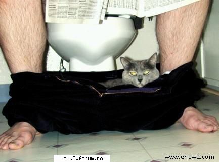 :P..ding - oau ce ascunzatoare....sigur n-o sa ma gaseasca - Chestii comice