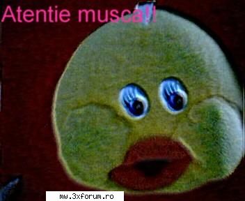 Uitete aici si minuneaza-te - Stati deoparte musca!!! - Chestii comice