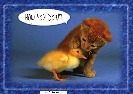 poze haioase rau!(*) - ASTa da iubire!!!!! - Chestii comice